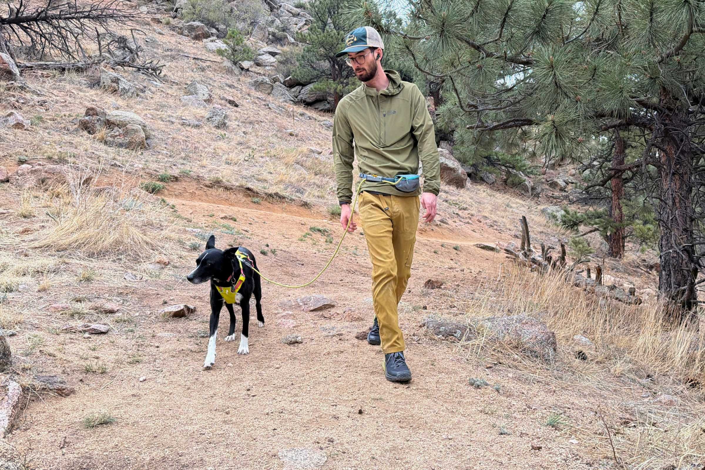 Best Hands-Free Dog Leashes of 2026: Expert Reviews