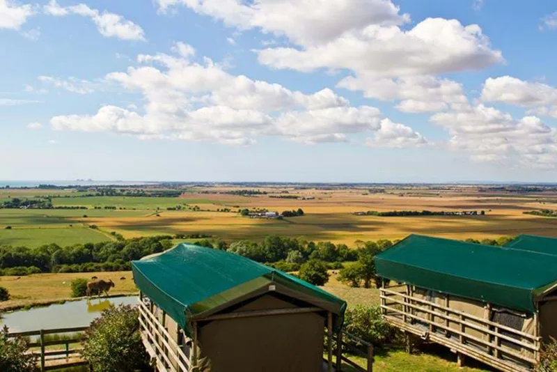 Luxury safari tent at Port Lympne with views of roaming giraffes.
