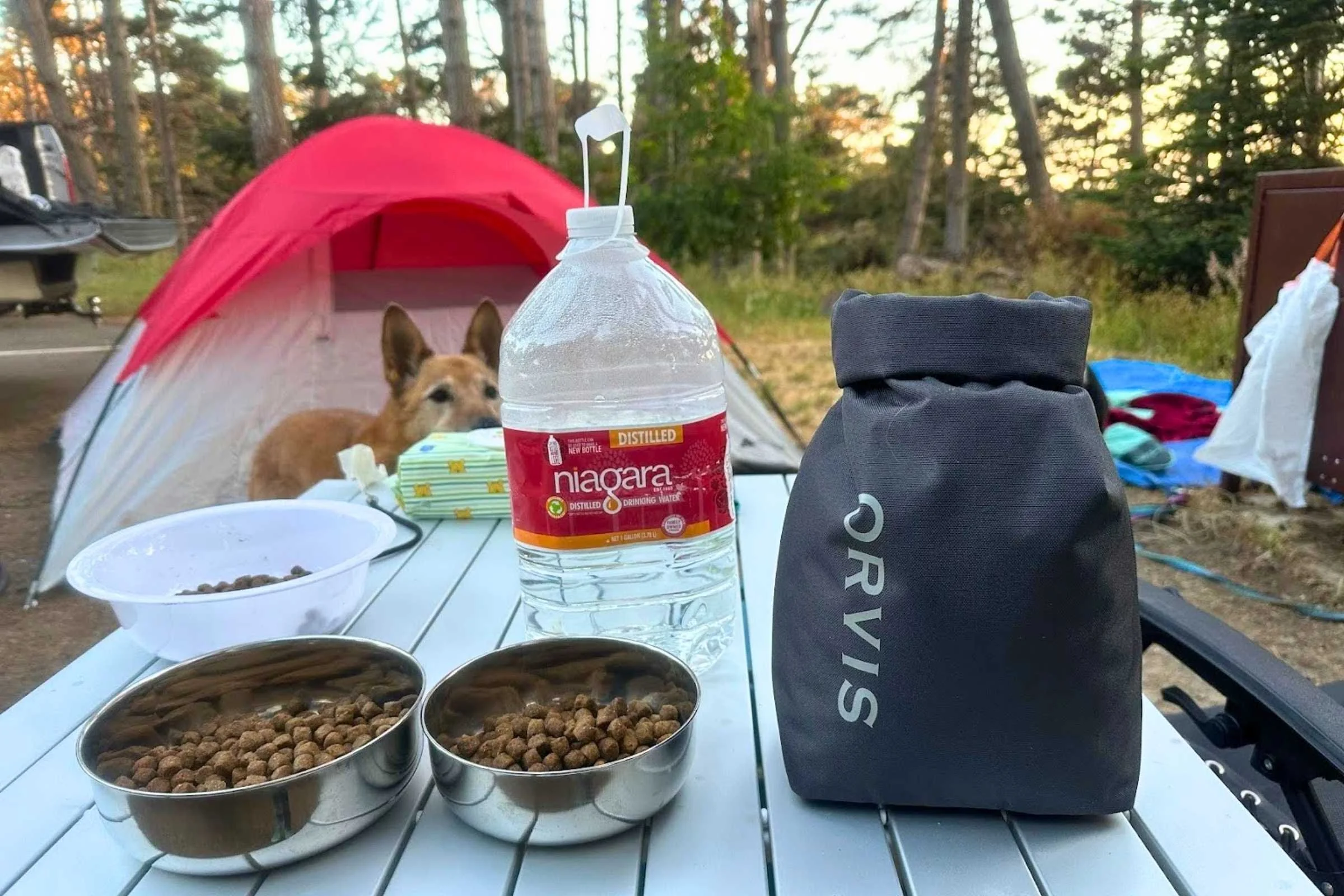 A durable fabric dry food storage bag for dogs sitting on a camp table.