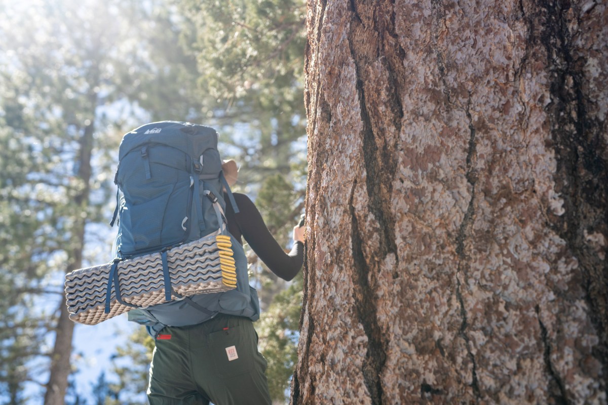 Best Backpacking Backpacks of 2026: Top Rated Picks