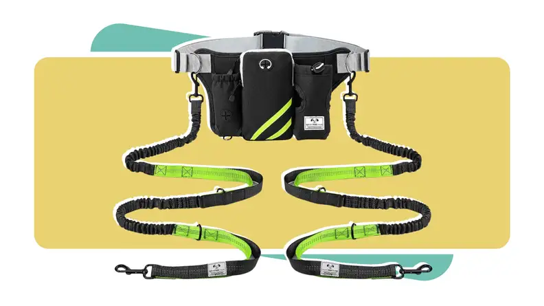 A lime green and black retractable hands-free dog leash designed for hiking.
