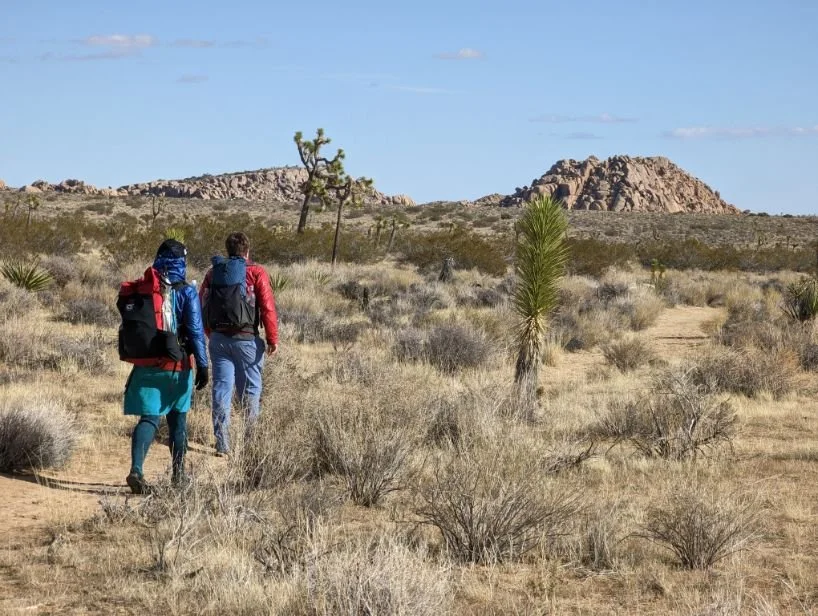 Open desert landscape with granite rock formations and low-lying shrubs under a clear sky.