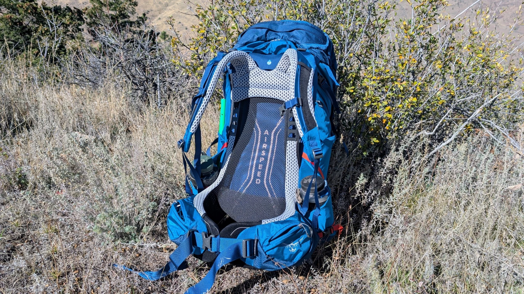 Close-up of the mesh suspension system on the back of an Osprey Atmos AG LT 65 backpack.