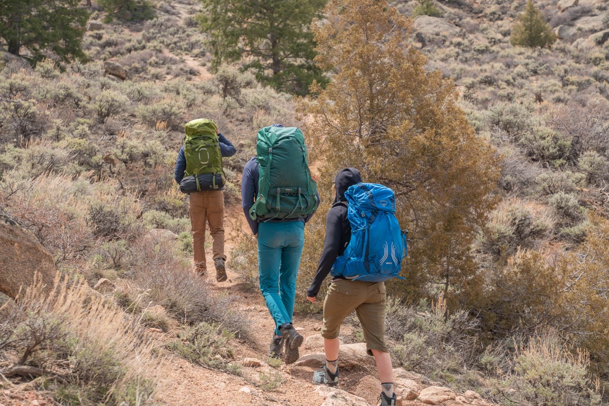 A group of backpackers on a trail wearing different brands of hiking packs during a testing trip.