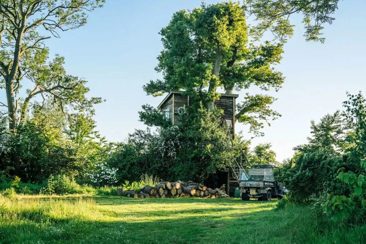 A luxury wooden treehouse nestled in ancient Kent woodland.