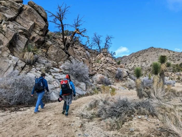 A narrow sandy wash trail winding between desert hills and unique rock outcrops.