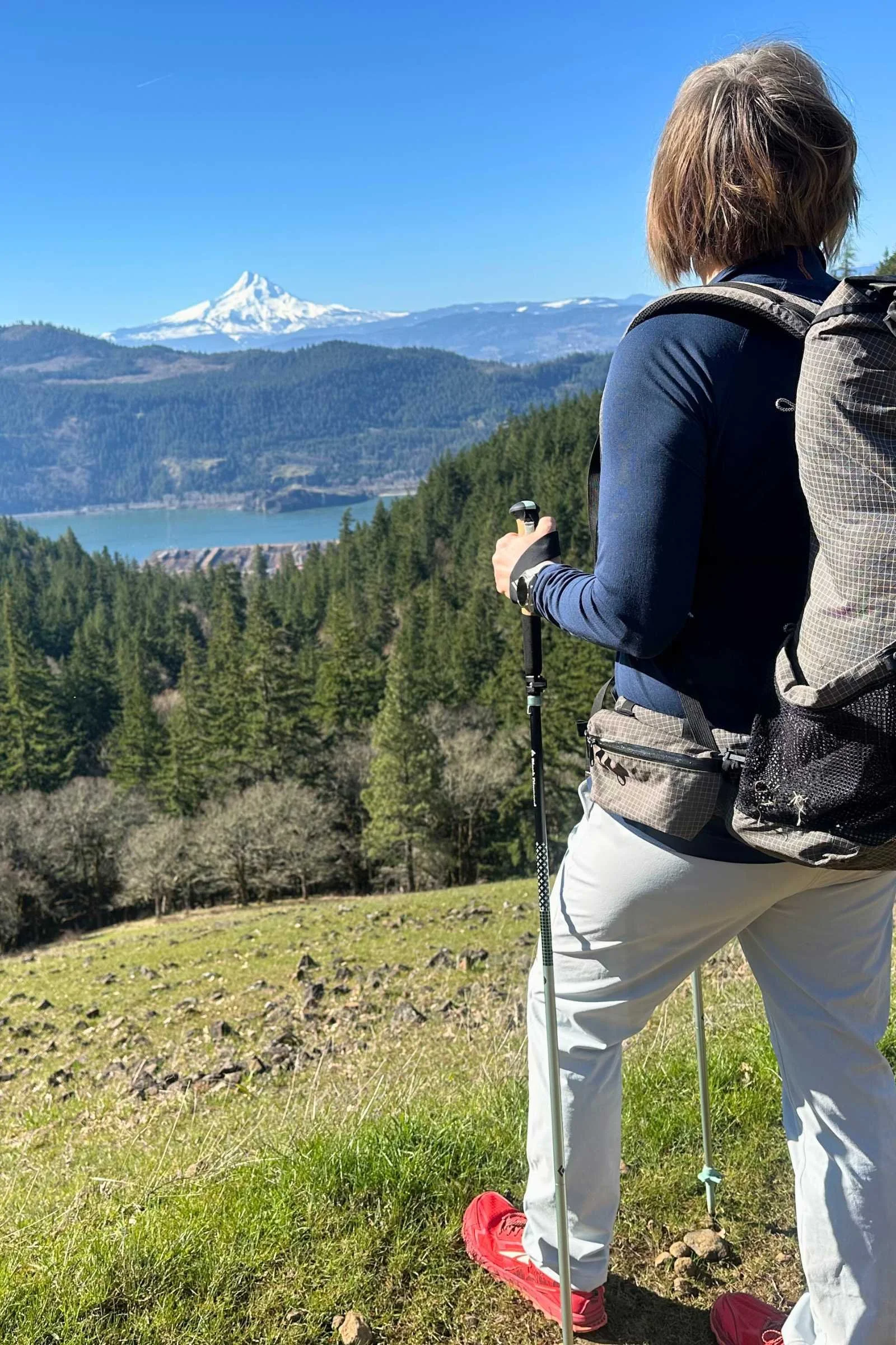 Best Trekking Poles 2026: Protect Your Joints