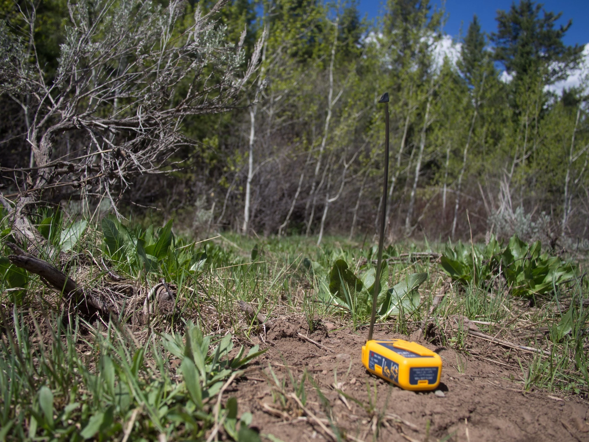 A close-up view of a person deploying the antenna of a PLB1 emergency beacon in a field setting.