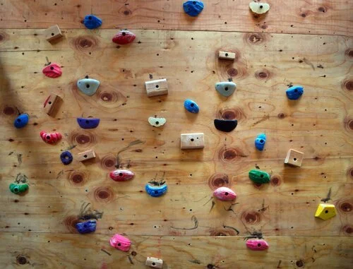 Assorted climbing holds in different colors and shapes attached to a DIY wall.
