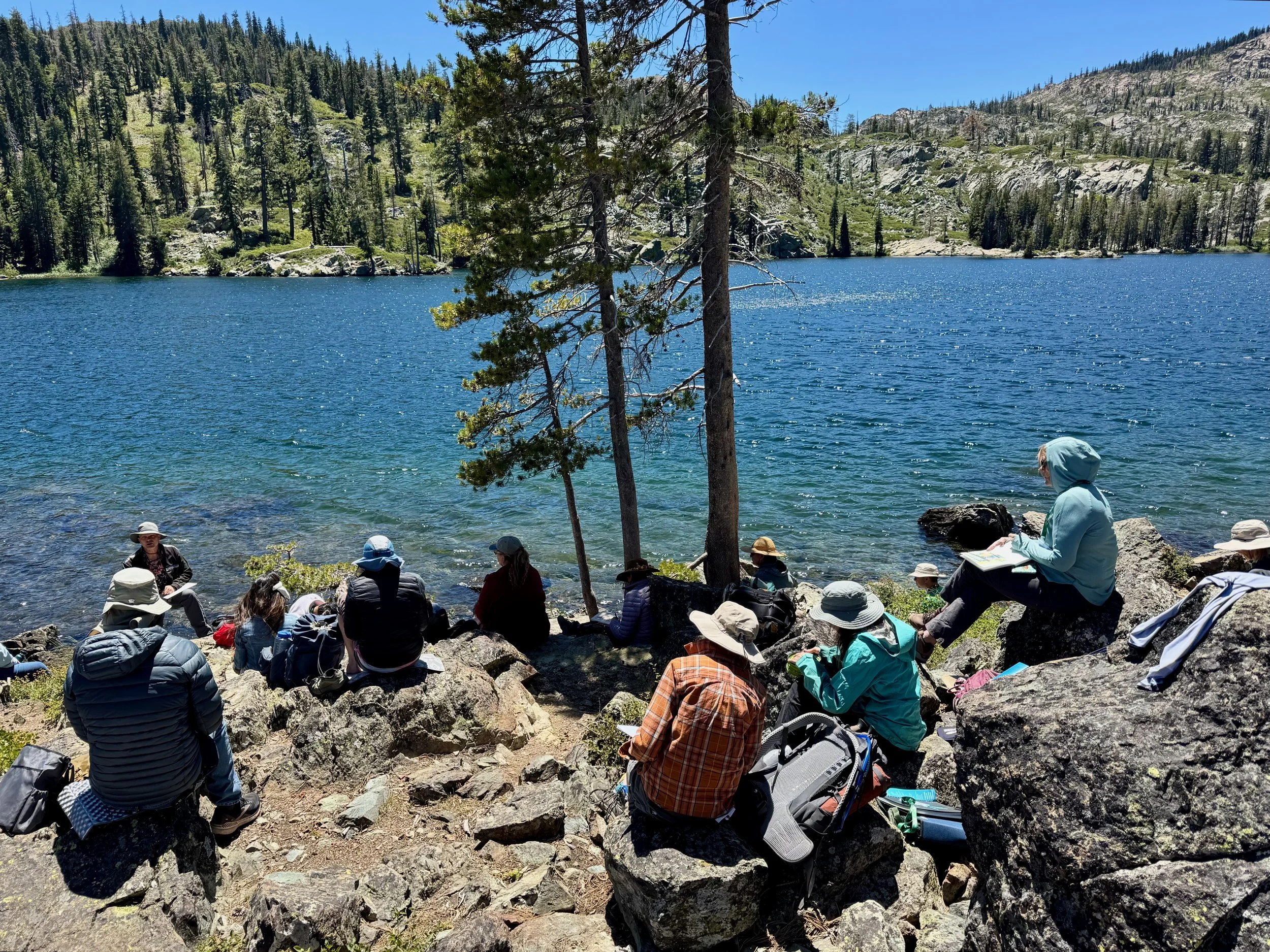 Hikers sitting in a wooded area practicing nature journaling in their notebooks.